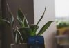 Fintech and the evolving cybersecurity landscape Fintech and the evolving cybersecurity landscape