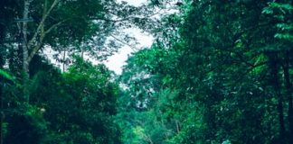 How to Google your way to a greener trip How to Google Your Way to a Greener Trip