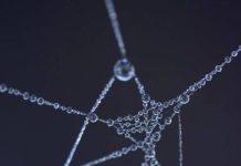 How banking uses blockchain