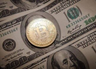 In the face of banking crisis, the Bitcoin price rise is proving us right In the face of banking crisis, the Bitcoin price rise is proving us right