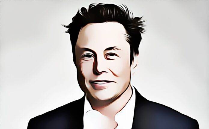 Elon Musk: 'We never will' launch a Twitter or X Crypto Token